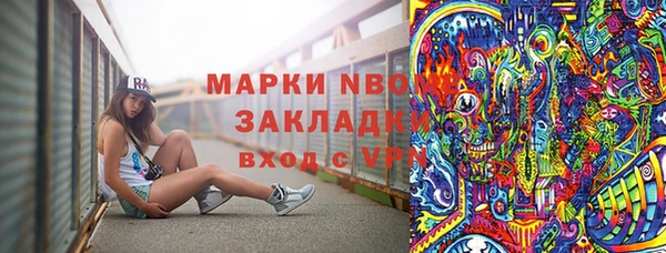тгк Аша