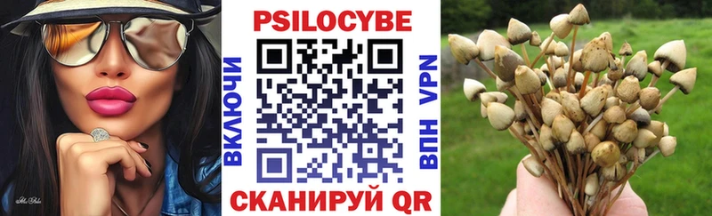 наркотики  Шиханы  Псилоцибиновые грибы MAGIC MUSHROOMS 